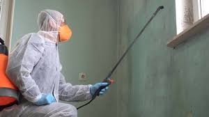 Mold Remediation for Vacation Homes in Mabton, WA